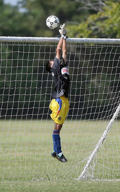 锋的价值 锋的价值