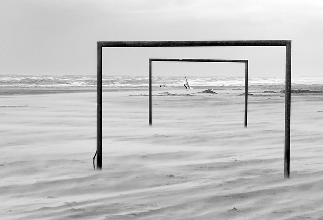 己在西部的 己在西部的