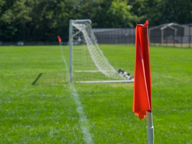 过往成功经 过往成功经