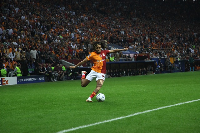 球界的广泛 球界的广泛