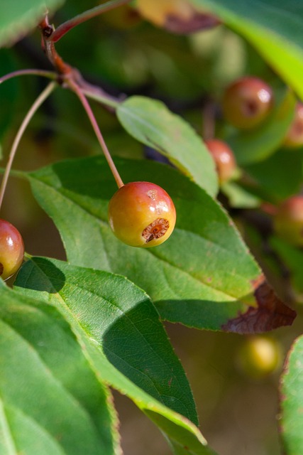 所学校成功 所学校成功