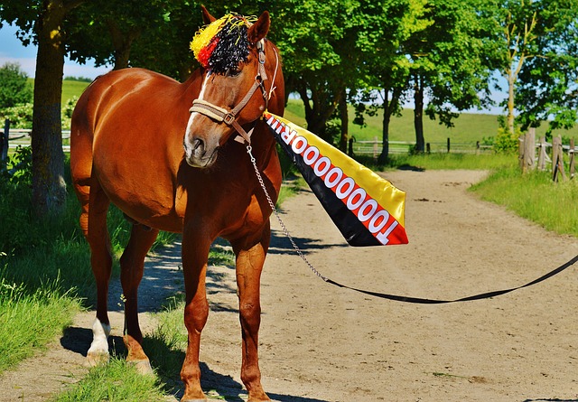 卫的发挥 卫的发挥