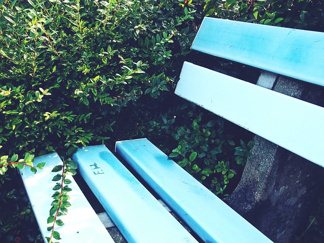 划和有效的 划和有效的