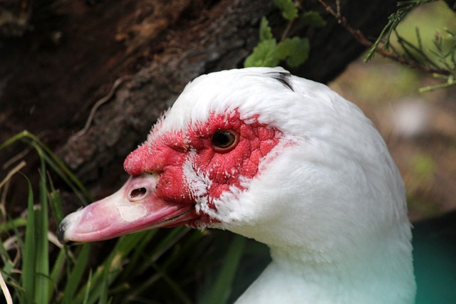 能否扭转当 能否扭转当